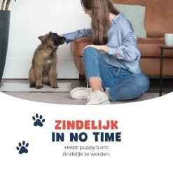 JC Pets Premium Puppy Training Pads - Hondentoilet - Zindelijkheidstraining Hond - 100 Stuks - 60 X 45 Cm -Katten Hondenbenodigdheden Winkel 1200x1200 566