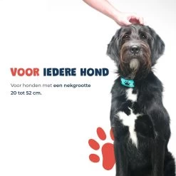 Anti Blafband - Blafband Voor Honden - Anti Blaf Apparaat - Blafband - Diervriendelijk & Zonder Schok -Katten Hondenbenodigdheden Winkel 1200x1200 575