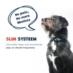 Anti Blafband - Blafband Voor Honden - Oplaadbaar - Anti Blaf Apparaat - Blafband - Diervriendelijk -Katten Hondenbenodigdheden Winkel 1200x1200 589