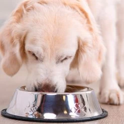 14KG Hayes Brothers Premium Geperst Hondenvoer - Geperste Hondenbrokken Voor Volwassen & Senior Honden -Katten Hondenbenodigdheden Winkel 1200x1200 643