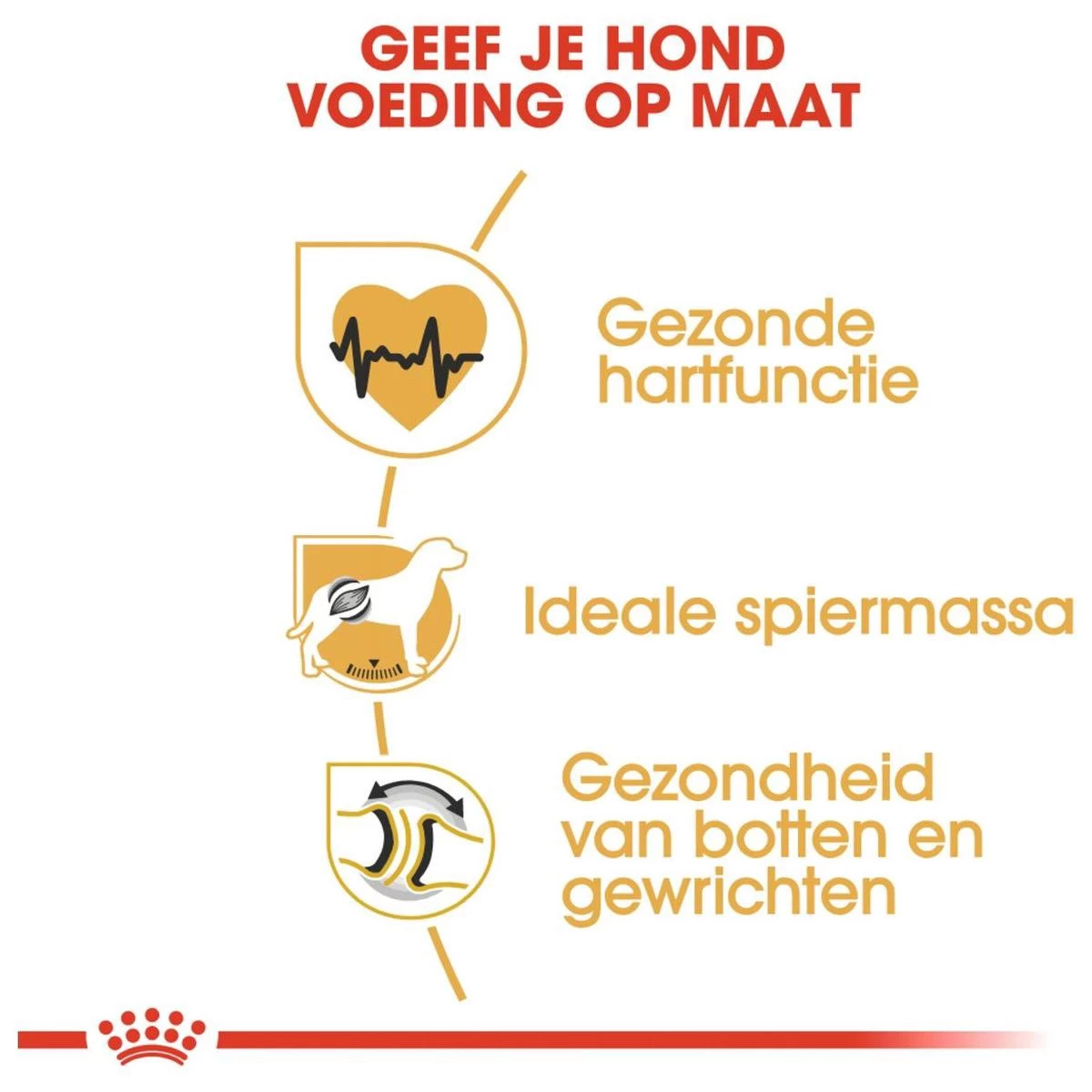 Royal Canin Rottweiler 12 KG 6 Royal Canin Rottweiler 12 KG - Afbeelding 4