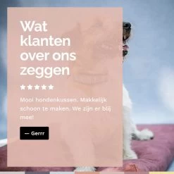 Rexproduct Hondenkussen - Hondenmand - Hondenbed Met Rits En Wasbaar - Manden & Kussens 90 X 110 CM - 0 Tot 80 Kg - SoftPet Groen -Katten Hondenbenodigdheden Winkel 1200x1200 712