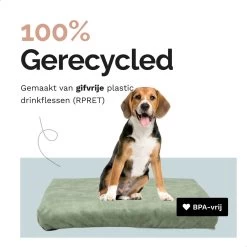 Rexproduct Hondenkussen - Hondenmand - Hondenbed Met Rits En Wasbaar - Manden & Kussens 90 X 110 CM - 0 Tot 80 Kg - SoftPet Groen -Katten Hondenbenodigdheden Winkel 1200x1200 713