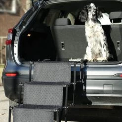 Bella & Balu Hondentrap - De Gewrichtsvriendelijke Helling Voor Uw Huisdier I Opvouwbare Instaphulp Met Vier Treden Voor Comfortabel Op- En Afstappen Voor Binnen En Buiten -Katten Hondenbenodigdheden Winkel 1200x1200 72