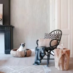 District 70 COCOON - Luxe Hondenmand Van Duurzaam Hoogwaardig Riet Met Zacht Kussen - Maten S/M/L - Large 24 District 70 COCOON - Luxe Hondenmand Van Duurzaam Hoogwaardig Riet Met Zacht Kussen - Maten S/M/L - Large -Katten Hondenbenodigdheden Winkel 1200x1200 74