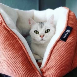 District 70 TUCK - Luxe & Comfortabele Mand Kleine Honden - Terra, Donkergrijs & Zand - 50x50x30 Cm - Zand -Katten Hondenbenodigdheden Winkel 1200x1200 754