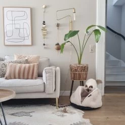 District 70 TUCK - Luxe & Comfortabele Mand Kleine Honden - Terra, Donkergrijs & Zand - 50x50x30 Cm - Zand -Katten Hondenbenodigdheden Winkel 1200x1200 755