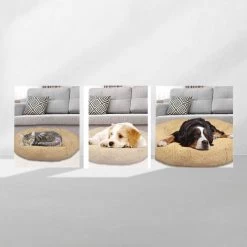 Peaceful Pooch S - Pluizig Hondenbed - 58cm Diameter - Opvouwbaar - In Verschillende Maten. Kattenbed - Wasbaar - Uitneembare Vulling - Ontspant Gewrichten En Spieren - Anti-slip Noppenbodem -Katten Hondenbenodigdheden Winkel 1200x1200 758