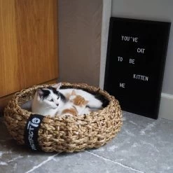 District 70 COCOON - Luxe Hondenmand Van Duurzaam Hoogwaardig Riet Met Zacht Kussen - Maten S/M/L - Large 28 District 70 COCOON - Luxe Hondenmand Van Duurzaam Hoogwaardig Riet Met Zacht Kussen - Maten S/M/L - Large -Katten Hondenbenodigdheden Winkel 1200x1200 78