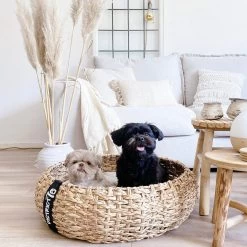 District 70 COCOON - Luxe Hondenmand Van Duurzaam Hoogwaardig Riet Met Zacht Kussen - Maten S/M/L - Large 32 District 70 COCOON - Luxe Hondenmand Van Duurzaam Hoogwaardig Riet Met Zacht Kussen - Maten S/M/L - Large -Katten Hondenbenodigdheden Winkel 1200x1200 81