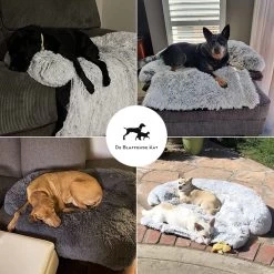 Premium Hondendeken Bank - Hondenkussens - Hondenmand Bank - Hondendeken Voor Op De Bank - Bankbeschermer - Donkergrijs -Katten Hondenbenodigdheden Winkel 1200x1200 812