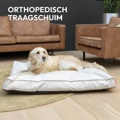 Snoozle Orthopedische Hondenmand - Zacht En Luxe Hondenkussen - Hondenbed - Wasbaar - Hondenmanden - 120 X 90 Cm - Groen 22 Snoozle Orthopedische Hondenmand - Zacht En Luxe Hondenkussen - Hondenbed - Wasbaar - Hondenmanden - 120 X 90 Cm - Groen -Katten Hondenbenodigdheden Winkel 1200x1200 826