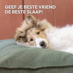 Snoozle Orthopedische Hondenmand - Zacht En Luxe Hondenkussen - Hondenbed - Wasbaar - Hondenmanden - 120 X 90 Cm - Groen 24 Snoozle Orthopedische Hondenmand - Zacht En Luxe Hondenkussen - Hondenbed - Wasbaar - Hondenmanden - 120 X 90 Cm - Groen -Katten Hondenbenodigdheden Winkel 1200x1200 827