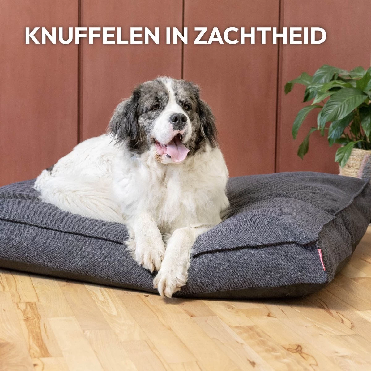 Snoozle Orthopedische Hondenmand - Zacht En Luxe Hondenkussen - Hondenbed - Wasbaar - Hondenmanden - 120 X 90 Cm - Groen 13 Snoozle Orthopedische Hondenmand - Zacht En Luxe Hondenkussen - Hondenbed - Wasbaar - Hondenmanden - 120 X 90 Cm - Groen - Afbeelding 11