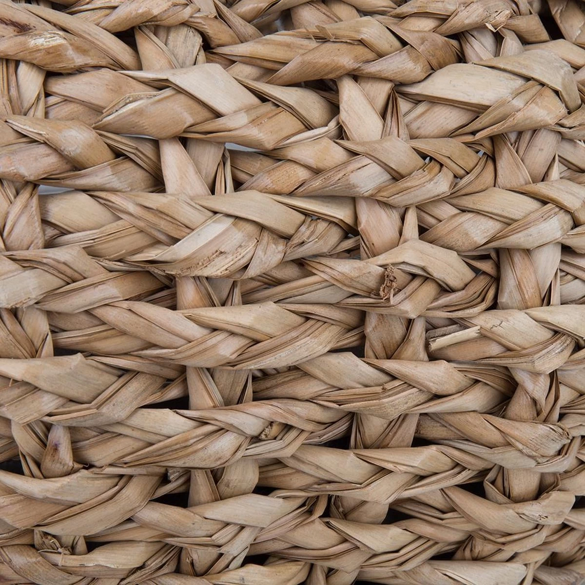 District 70 COCOON - Luxe Hondenmand Van Duurzaam Hoogwaardig Riet Met Zacht Kussen - Maten S/M/L - Large 16 District 70 COCOON - Luxe Hondenmand Van Duurzaam Hoogwaardig Riet Met Zacht Kussen - Maten S/M/L - Large - Afbeelding 14