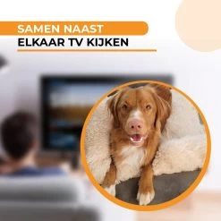 Origineel Hondendeken Voor Bank M – Hondenkleed Fluffy – Pluche Hondenbed - Hondenmand Premium - Volledig Afritsbaar - Beige -Katten Hondenbenodigdheden Winkel 1200x1200 831