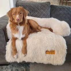 Origineel Hondendeken Voor Bank M – Hondenkleed Fluffy – Pluche Hondenbed - Hondenmand Premium - Volledig Afritsbaar - Beige -Katten Hondenbenodigdheden Winkel 1200x1200 834