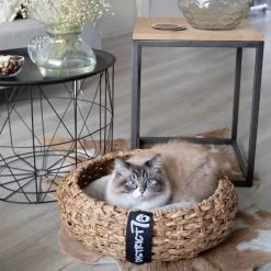 District 70 COCOON - Luxe Hondenmand Van Duurzaam Hoogwaardig Riet Met Zacht Kussen - Maten S/M/L - Large 36 District 70 COCOON - Luxe Hondenmand Van Duurzaam Hoogwaardig Riet Met Zacht Kussen - Maten S/M/L - Large -Katten Hondenbenodigdheden Winkel 1200x1200 84