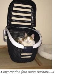 Curver Reismand - Antraciet - 51 X 38 X 33 Cm -Katten Hondenbenodigdheden Winkel 1200x1200 845