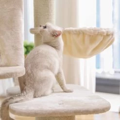 Songmics PCT01M Krabpaal Met XXL-uitkijkplatform, Liggend Hol, Grote Knuffelgrot, Verstelbare Elementen, Extra Dikke Stammen Volledig Gewikkeld In Sisal, Stabiel, Beige 18 Songmics PCT01M Krabpaal Met XXL-uitkijkplatform, Liggend Hol, Grote Knuffelgrot, Verstelbare Elementen, Extra Dikke Stammen Volledig Gewikkeld In Sisal, Stabiel, Beige -Katten Hondenbenodigdheden Winkel 1200x1200 880