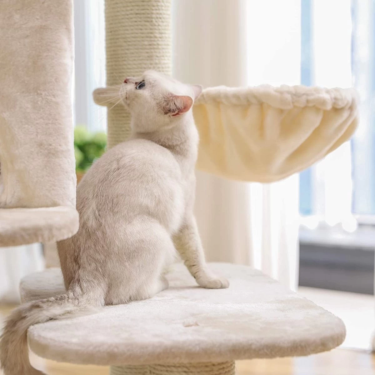 Songmics PCT01M Krabpaal Met XXL-uitkijkplatform, Liggend Hol, Grote Knuffelgrot, Verstelbare Elementen, Extra Dikke Stammen Volledig Gewikkeld In Sisal, Stabiel, Beige 10 Songmics PCT01M Krabpaal Met XXL-uitkijkplatform, Liggend Hol, Grote Knuffelgrot, Verstelbare Elementen, Extra Dikke Stammen Volledig Gewikkeld In Sisal, Stabiel, Beige - Afbeelding 8