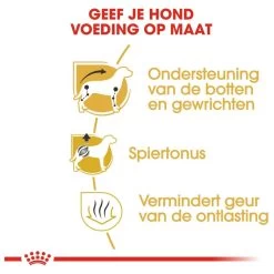 Royal Canin Dachshund/Teckel Adult 7.5 KG -Katten Hondenbenodigdheden Winkel 1200x1200 92