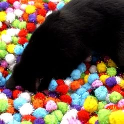 Make Me Purr Glitter Pompon Ballen (10 Stuks) - Kattenspeeltjes - Kattenspeelgoed - Speelgoed Voor Katten - Kat Speeltje Bal - Kitten Speeltjes Balletjes -Katten Hondenbenodigdheden Winkel 1200x1200 925