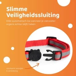 ACE Pets Reflecterende Kattenhalsband Met Veiligheidssluiting – Halsband Kat & Kitten - Met Adreskoker - Kittenhalsband & Kattenbandje Met Belletje - Zwart -Katten Hondenbenodigdheden Winkel 1200x1200 934
