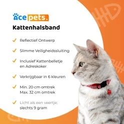 ACE Pets Reflecterende Kattenhalsband Met Veiligheidssluiting – Halsband Kat & Kitten - Met Adreskoker - Kittenhalsband & Kattenbandje Met Belletje - Zwart -Katten Hondenbenodigdheden Winkel 1200x1200 938