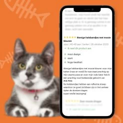 ACE Pets Reflecterende Kattenhalsband Met Veiligheidssluiting – Halsband Kat & Kitten - Met Adreskoker - Kittenhalsband & Kattenbandje Met Belletje - Zwart -Katten Hondenbenodigdheden Winkel 1200x1200 939