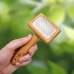 Pfotenolymp® Zachte Borstel Voor Katten - Kattenborstel / Kattenkam Van Bamboe - Bontborstel / Vachtborstel / Kattenhaarborstel - Bontkam Voor Vachtverzorging 13 Pfotenolymp® Zachte Borstel Voor Katten - Kattenborstel / Kattenkam Van Bamboe - Bontborstel / Vachtborstel / Kattenhaarborstel - Bontkam Voor Vachtverzorging -Katten Hondenbenodigdheden Winkel 1200x1200 950