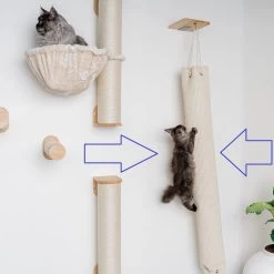 RHRQuality Wandmeubel Wandmontage Klimmuur Kat 175 X 16cm Klim En Klauterzak Beige Wand Muur Krabpaal Katten Muurbevestiging