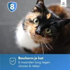 Essential Link Teken- En Vlooienband - Vlooienband Kat – Anti Vlooien – Vlooienmiddel - Tekenband - Diervriendelijk -Katten Hondenbenodigdheden Winkel 1200x1200 981