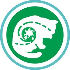 Purina One PURINA® ONE Indoor Rijk Aan Kalkoen & Volkoren Granen Brokjes 1,5 Kg -Katten Hondenbenodigdheden Winkel 1200x1200 991