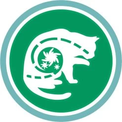 Purina One PURINA® ONE Indoor Rijk Aan Kalkoen & Volkoren Granen Brokjes 1,5 Kg -Katten Hondenbenodigdheden Winkel 1200x1200 997