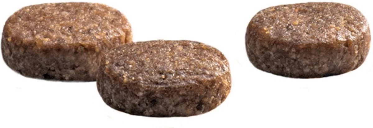 Prins Protection Croque Junior - Performance - Hondenvoer - 10 Kg 4 Prins Protection Croque Junior - Performance - Hondenvoer - 10 Kg - Afbeelding 2