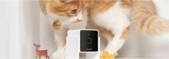 Petcube Pet Camera 1080p Hd Video Night Vision - IP Camera's - Wit -Katten Hondenbenodigdheden Winkel 1200x423