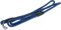 Merkloos Slipriem - Nylon - Riem Voor Hond - Blauw -Katten Hondenbenodigdheden Winkel 1200x596