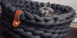 Djambo Kattenmanden, Gevlochten En Zachte Kattenbed, Comfortabel En Warm. -Katten Hondenbenodigdheden Winkel 1200x600 3