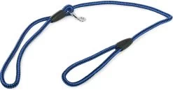 Merkloos Slipriem - Nylon - Riem Voor Hond - Blauw -Katten Hondenbenodigdheden Winkel 1200x629