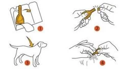 Prac-tic Middel Grote Hond 11 Tot 22 Kg - 1 St à 3 Pipetten -Katten Hondenbenodigdheden Winkel 1200x662