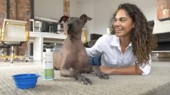 OxyFresh Pet Mondwater Hond En Kat. Helpt Tegen Tandsteen, Plak En Vieze Ademgeurtjes -Katten Hondenbenodigdheden Winkel 1200x675