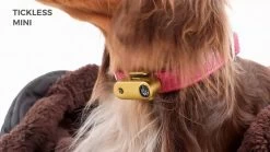 TICKLESS Teek En Vlo Afweer MINI HOND - GOUD (oplaadbare Versie Die Extra Lang Meegaat) -Katten Hondenbenodigdheden Winkel 1200x675 3