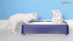 Catsan Active Fresh - Kattenbakvulling - 8 L -Katten Hondenbenodigdheden Winkel 1200x675 5