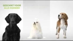 Whimzees Tandenborstel Hondensnack - 6,5 Cm - 48 Stuks -Katten Hondenbenodigdheden Winkel 1200x682 2