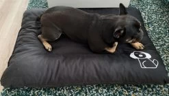 Hondenkussen XL - Donkergrijs - 60 X 90 X 12 -Katten Hondenbenodigdheden Winkel 1200x685