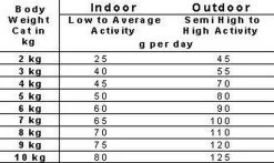 Smolke Adult Fish & Rice 10 Kg - Kat -Katten Hondenbenodigdheden Winkel 1200x716 1