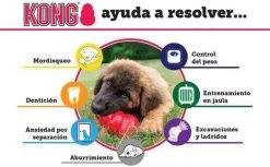 Kong Kauwbot - Hondenspeelgoed - Rood - S 19 Kong Kauwbot - Hondenspeelgoed - Rood - S -Katten Hondenbenodigdheden Winkel 1200x745 2