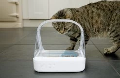 Surefeed Microchip Pet Feeder - Voerbak - 30 X 23 X 22 Cm -Katten Hondenbenodigdheden Winkel 1200x780 2