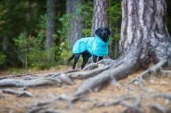 Rukka Pets Hase Raincoat - Lichtgewicht Hondenregenjas - In 2 Kleuren En 9 Maten - Kleur: Roze, Maat: Maat 40 -Katten Hondenbenodigdheden Winkel 1200x799 15